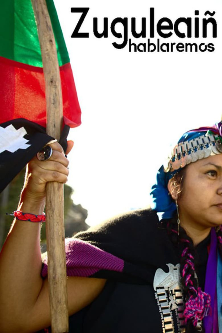 Zuguleaiñ: Hablaremos i gruppen Alla filmer hos Mohamad shop (559853)