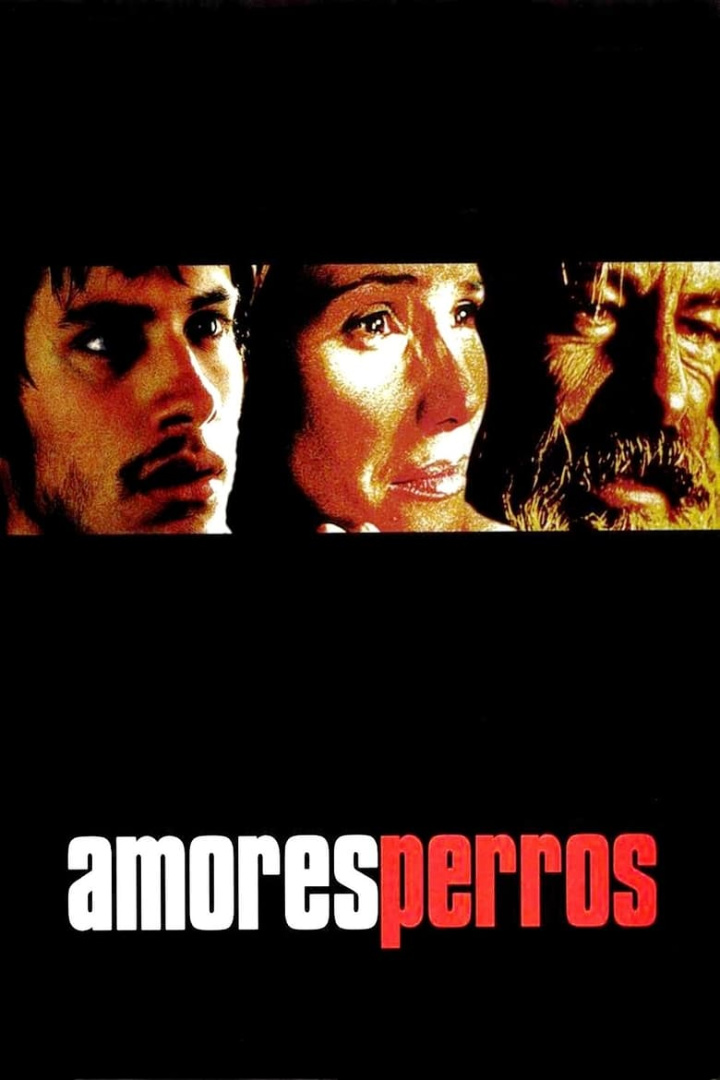 Amores Perros i gruppen Alla filmer / Thriller hos Mohamad shop (55)