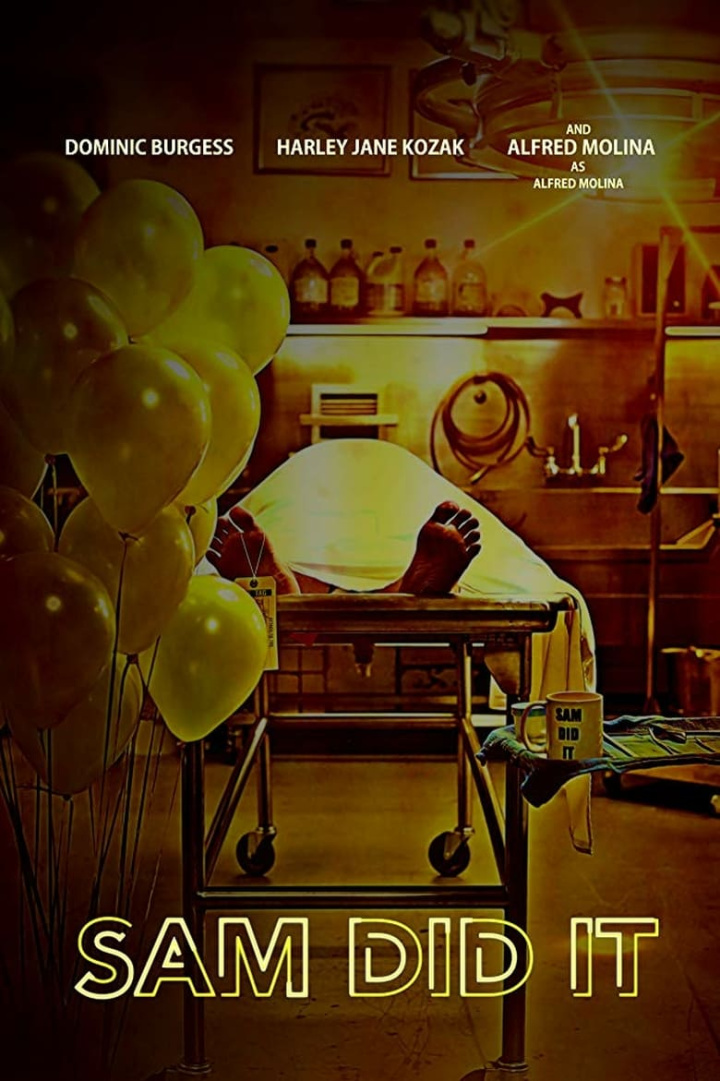 Sam Did It i gruppen Alla filmer / Comedy hos Mohamad shop (560509)