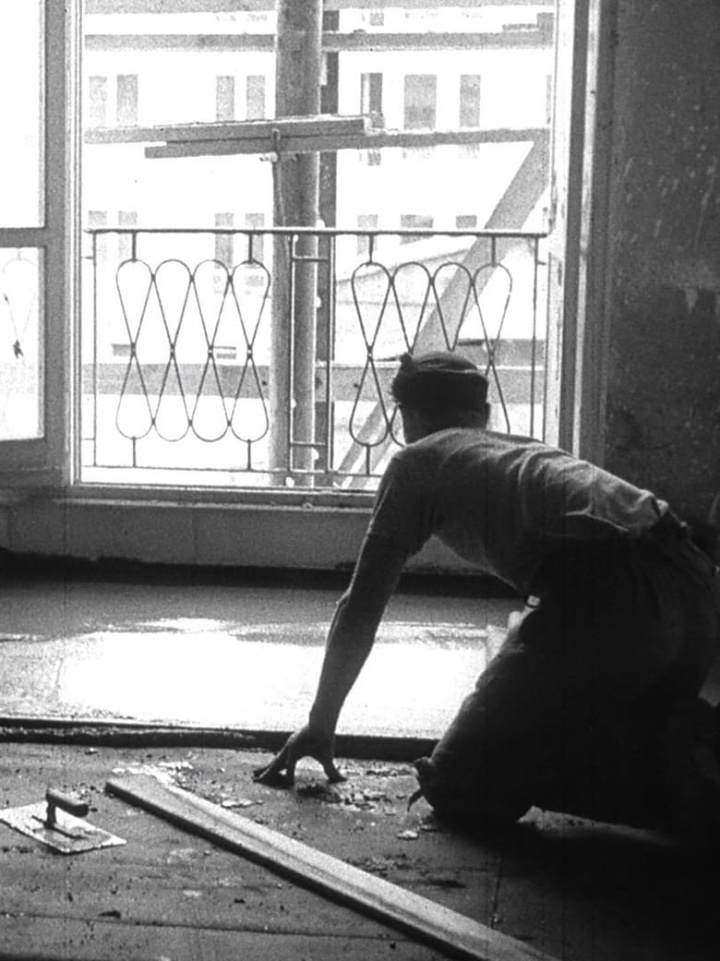 Der Elefant von Hoyerswerda i gruppen Alla filmer / Documentary hos Mohamad shop (560573)