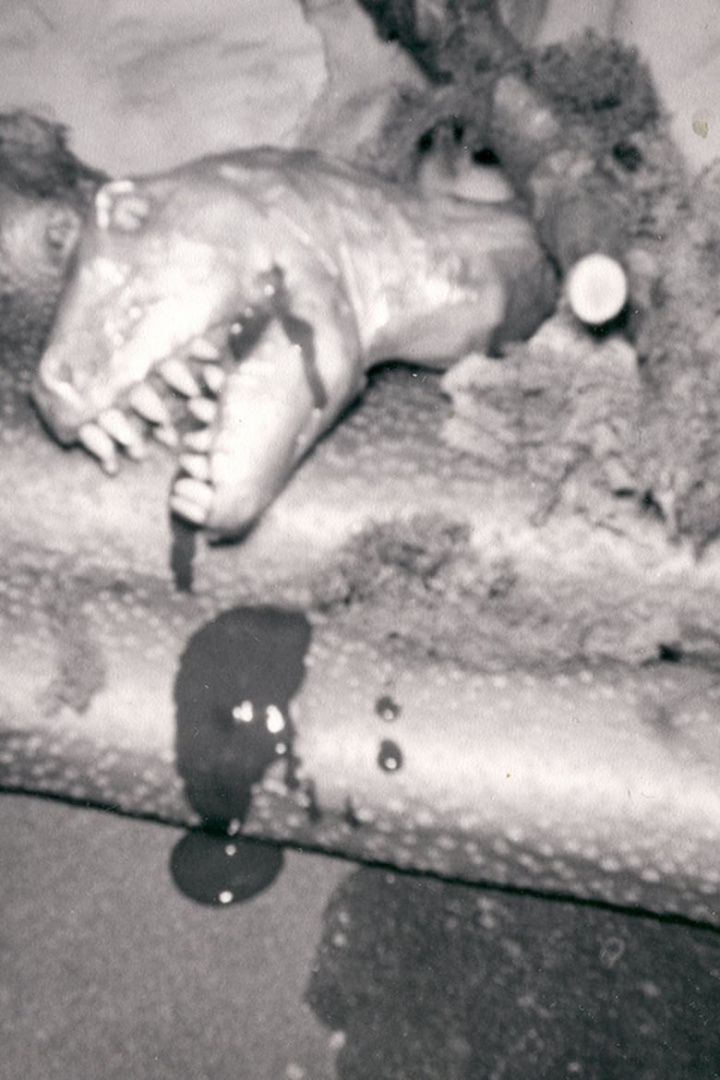 Tor, King of Beasts i gruppen Alla filmer / Science Fiction hos Mohamad shop (560643)