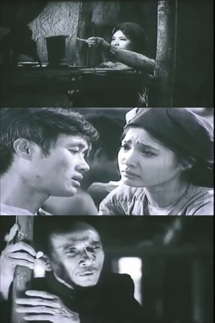 Mrs. Dau i gruppen Alla filmer hos Mohamad shop (560807)