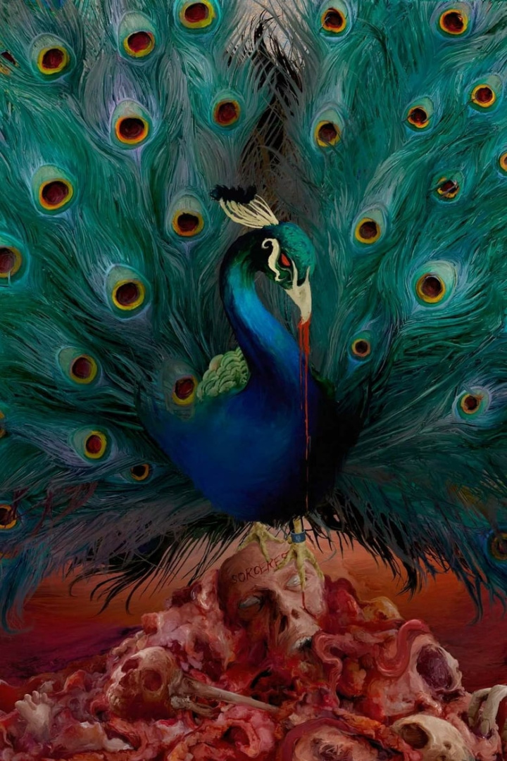 Opeth: Sorceress i gruppen Alla filmer / Music hos Mohamad shop (560891)
