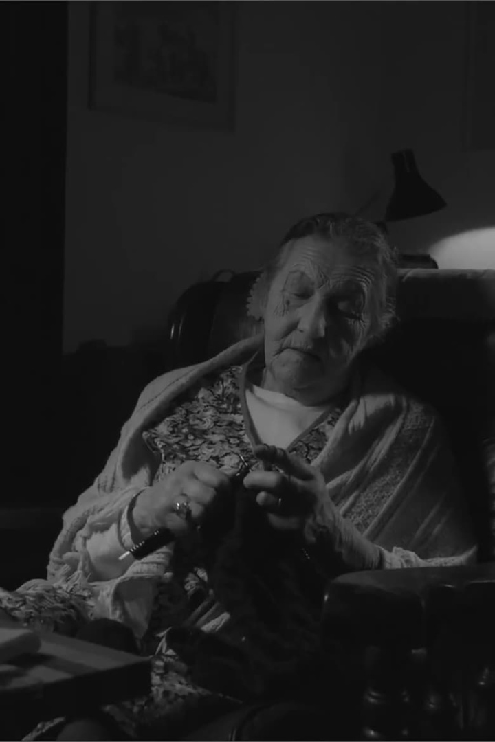 The Domestic Fly i gruppen Alla filmer / Drama hos Mohamad shop (561274)