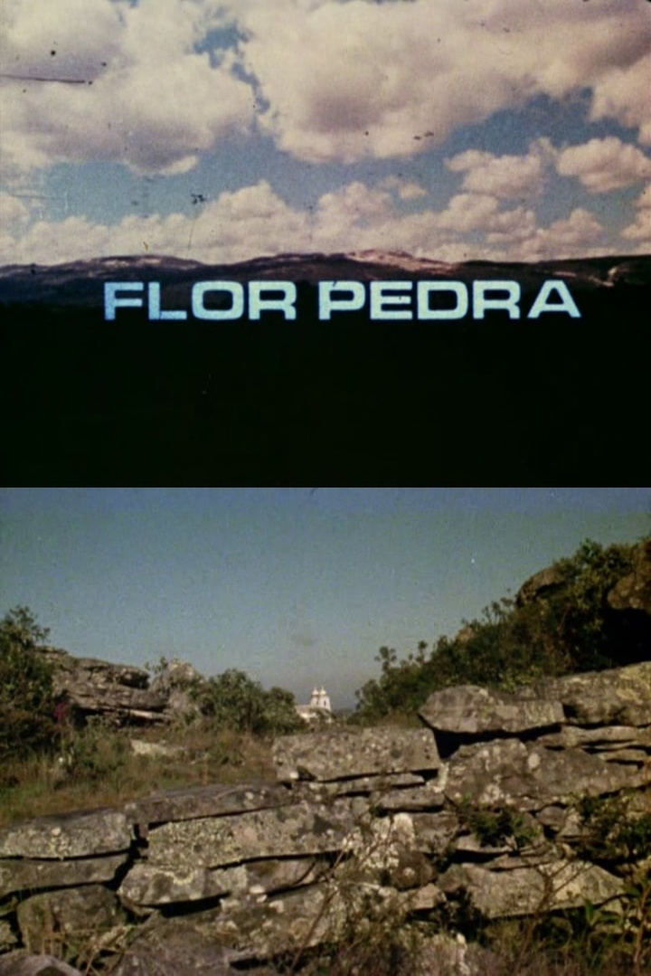 Flor Pedra i gruppen Alla filmer / Documentary hos Mohamad shop (561973)