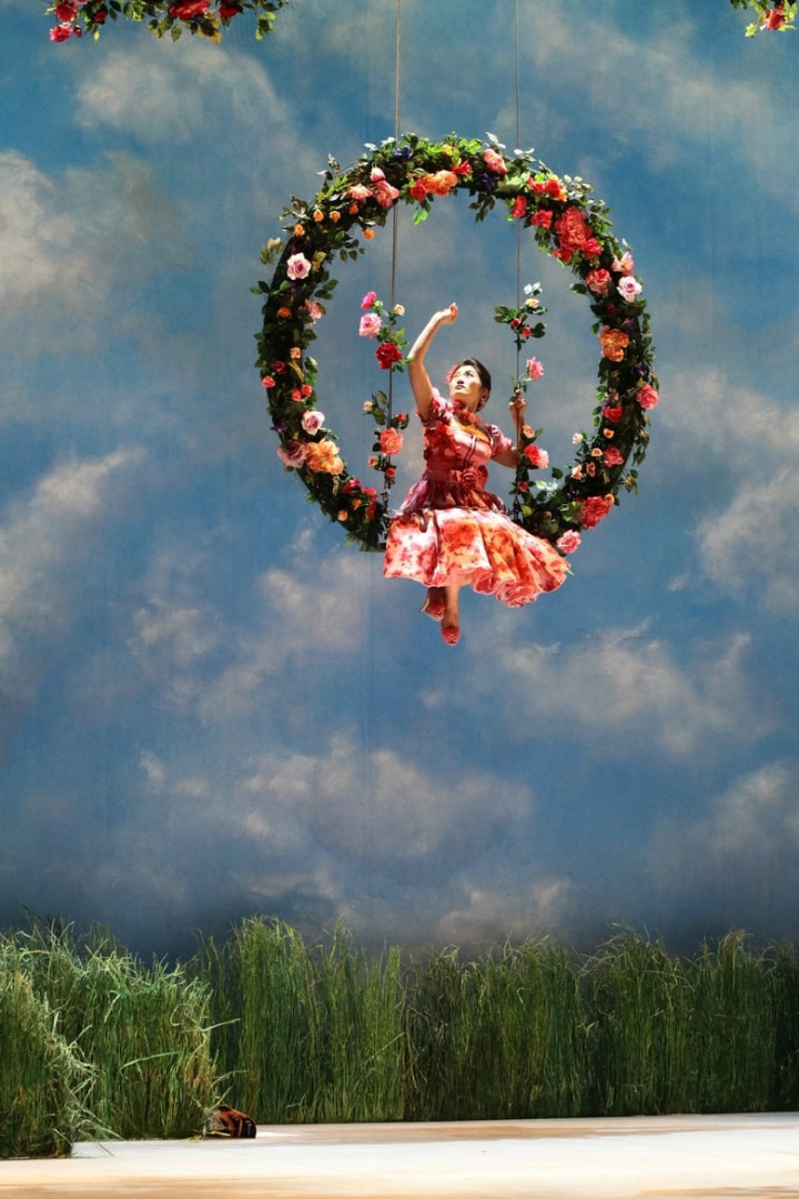 Donizetti: Don Pasquale i gruppen Alla filmer hos Mohamad shop (562121)