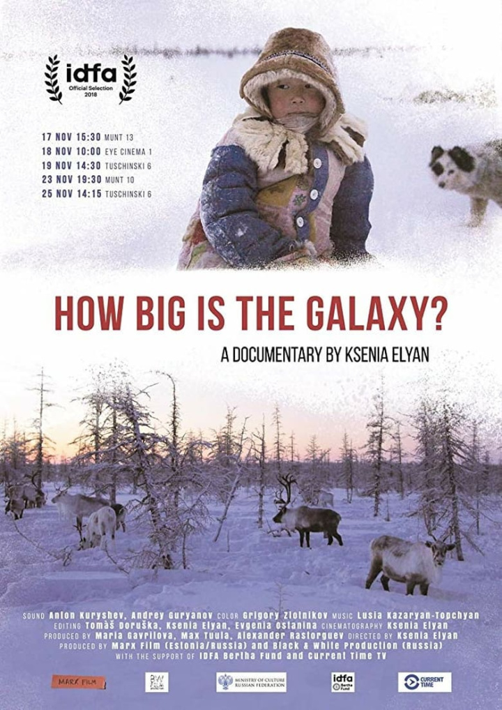 How Big Is the Galaxy? i gruppen Alla filmer / Documentary hos Mohamad shop (562549)
