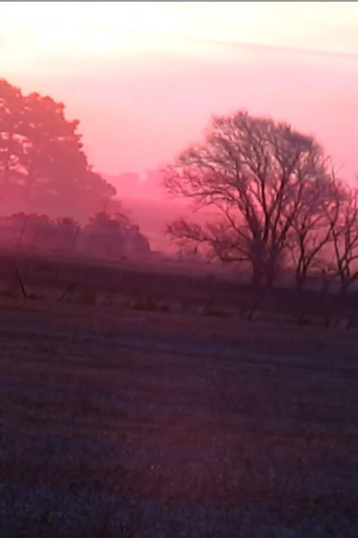 A R P i gruppen Alla filmer hos Mohamad shop (562583)