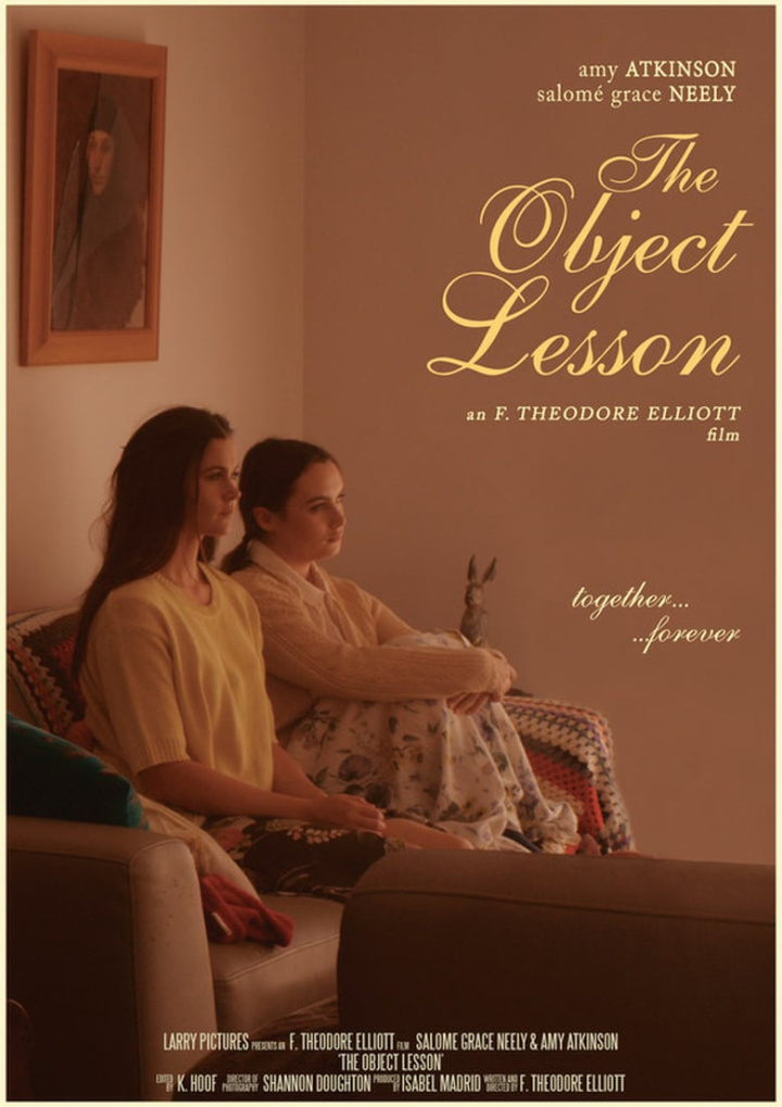 The Object Lesson i gruppen Alla filmer / Drama hos Mohamad shop (562603)