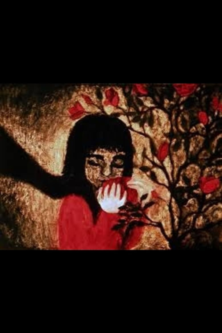 Jumping Joan i gruppen Alla filmer / Animation hos Mohamad shop (562660)