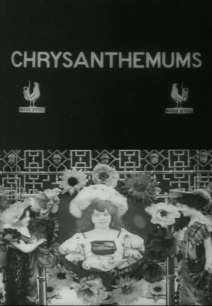 Chrysanthemums i gruppen Alla filmer / Fantasy hos Mohamad shop (563194)