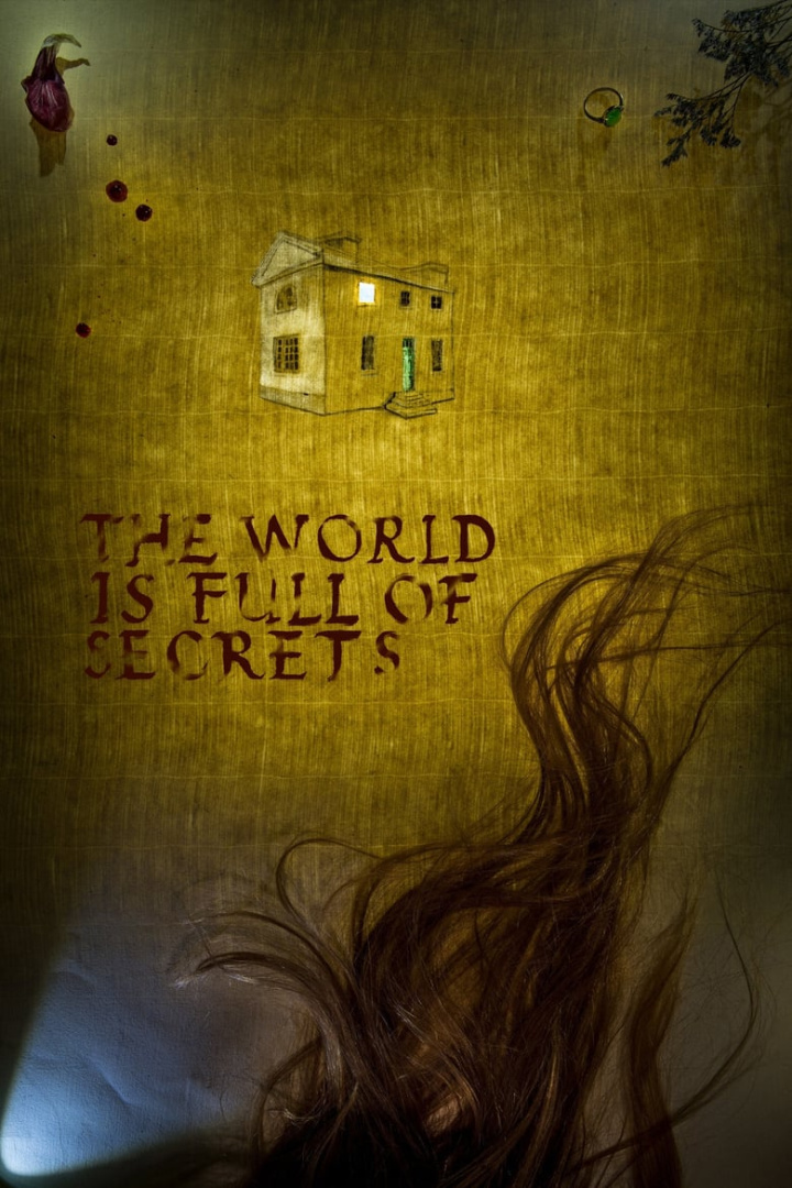 The World Is Full of Secrets i gruppen Alla filmer / Horror hos Mohamad shop (564056)