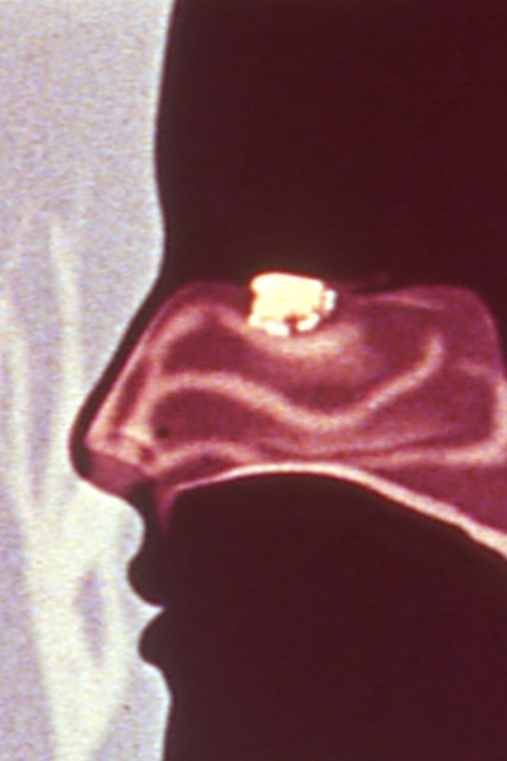 Light Work Mood Disorder i gruppen Alla filmer / Documentary hos Mohamad shop (564244)