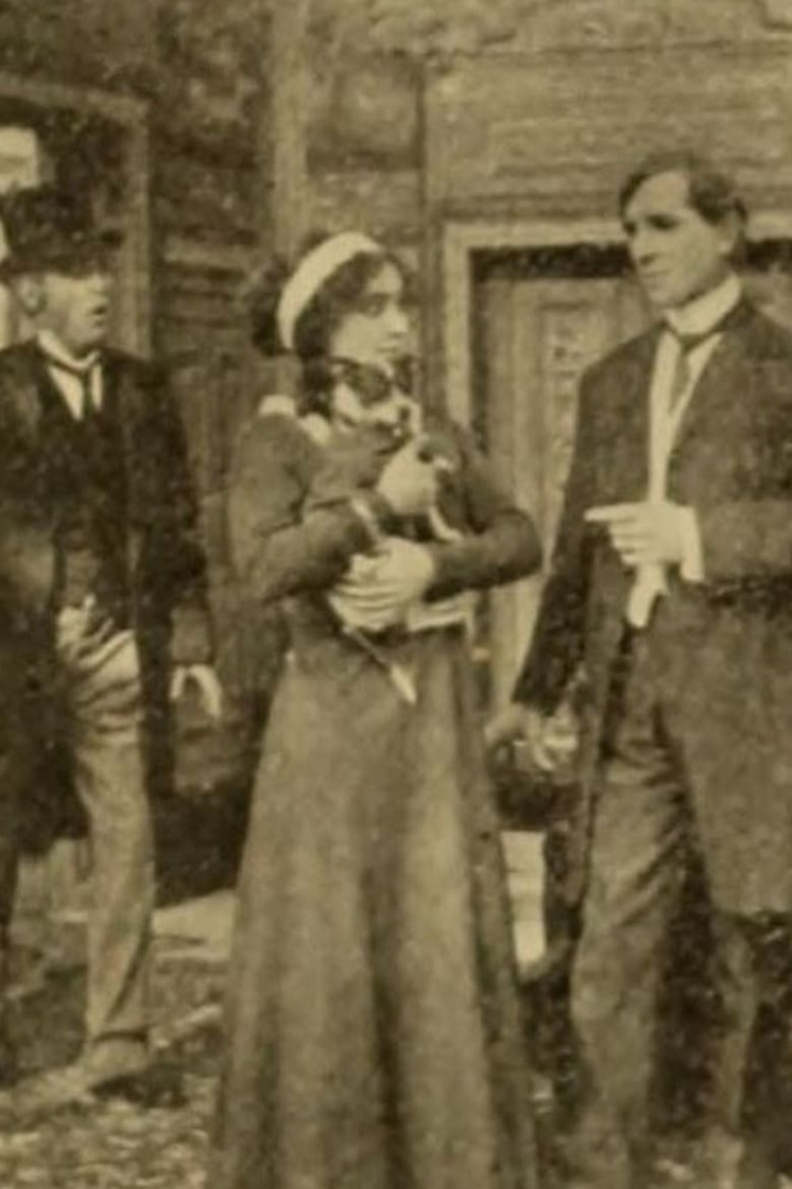 Mixed Pets i gruppen Alla filmer / Comedy hos Mohamad shop (564249)