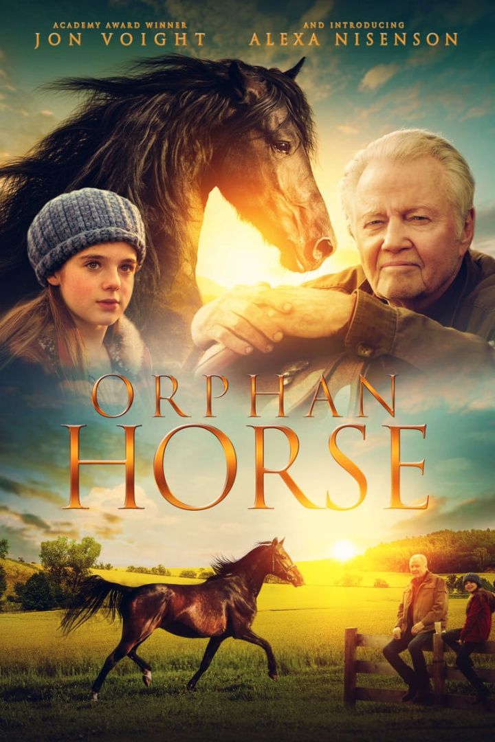 Orphan Horse i gruppen Alla filmer / Family hos Mohamad shop (564766)