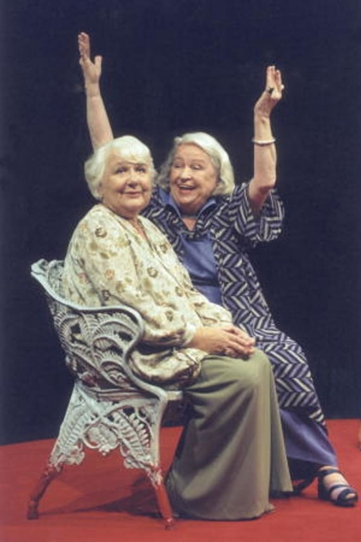 Idlaflickorna i gruppen Alla filmer / TV Movie hos Mohamad shop (565009)