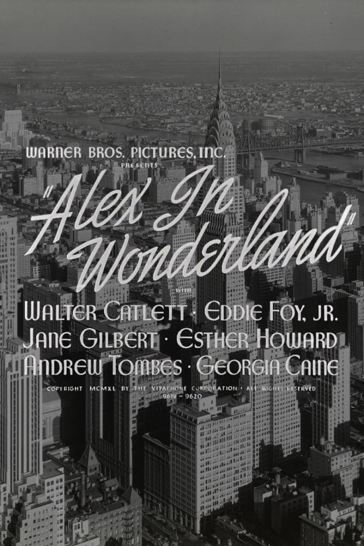 Alex in Wonderland i gruppen Alla filmer / Comedy hos Mohamad shop (565392)