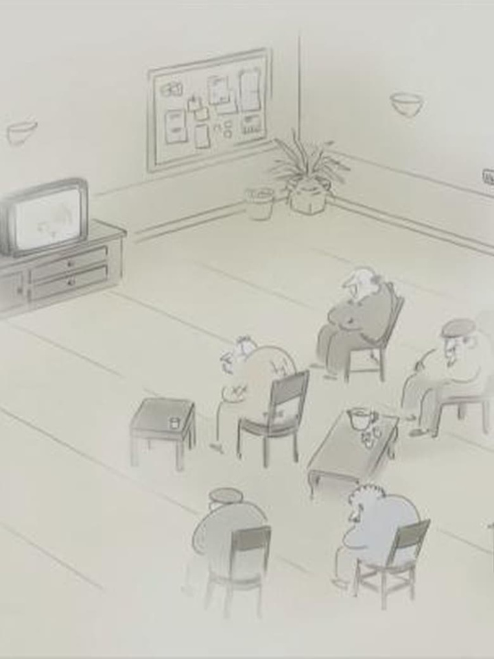 Bigoudis i gruppen Alla filmer / Animation hos Mohamad shop (565444)