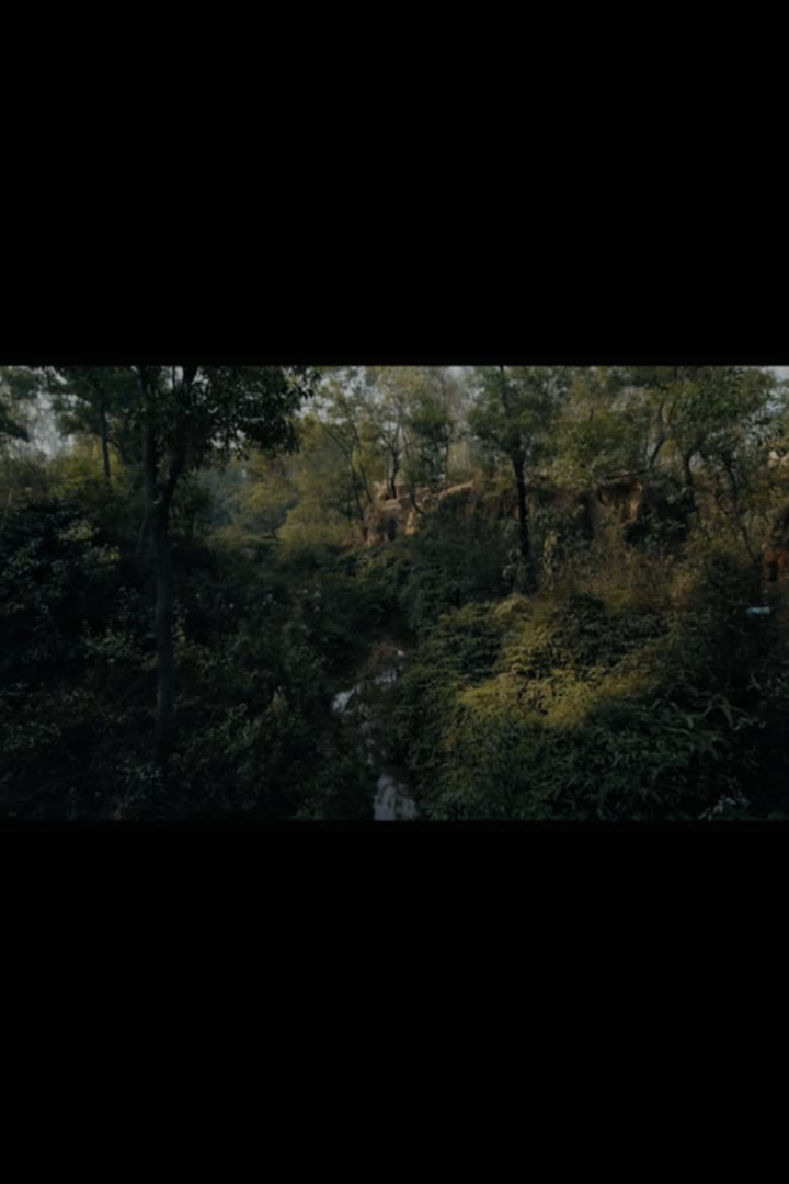 Message of the Forest. Towards \'O Horizon\' i gruppen Alla filmer / Documentary hos Mohamad shop (565728)