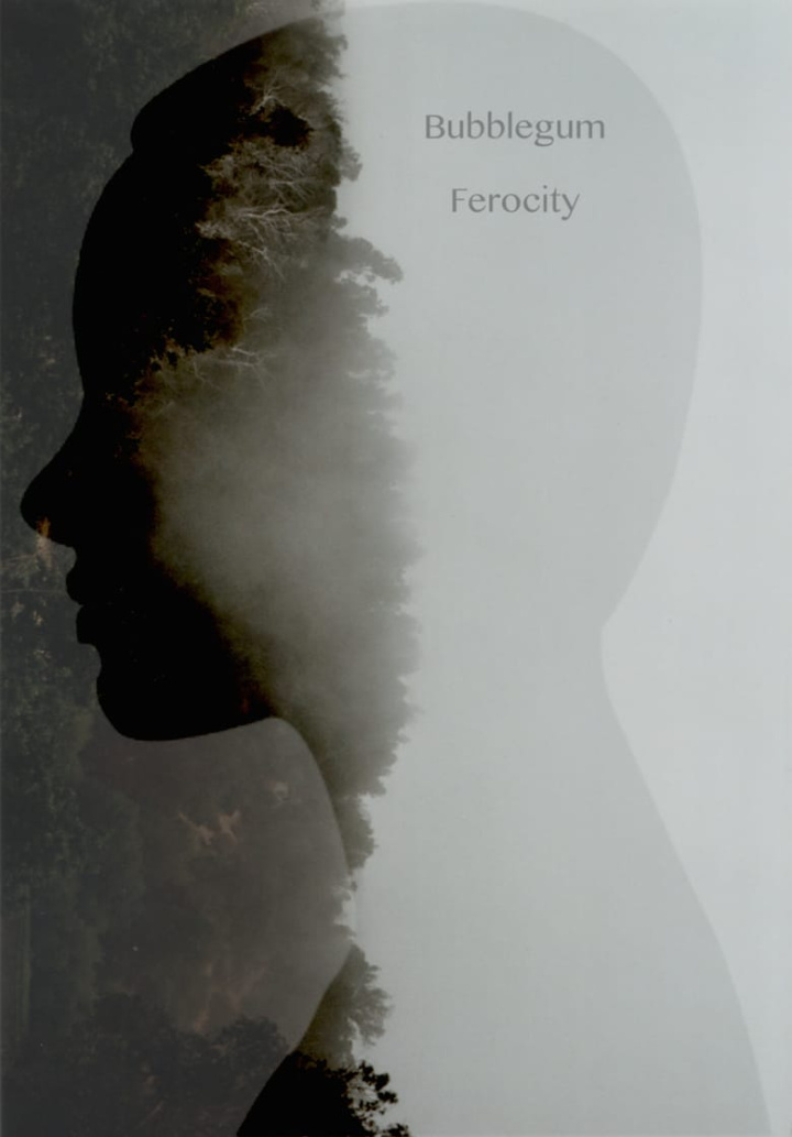 Bubblegum Ferocity i gruppen Alla filmer / Science Fiction hos Mohamad shop (566036)