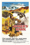 Baker\'s Hawk