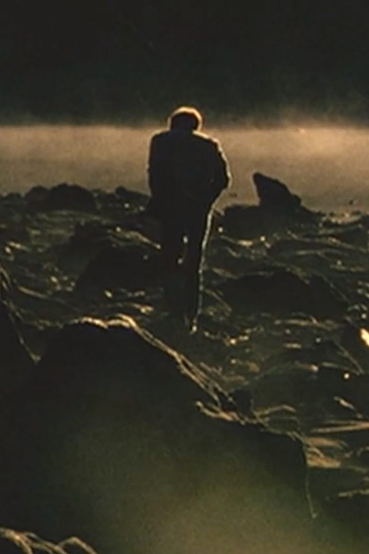 The World According to Koreeda Hirokazu i gruppen Alla filmer hos Mohamad shop (566438)