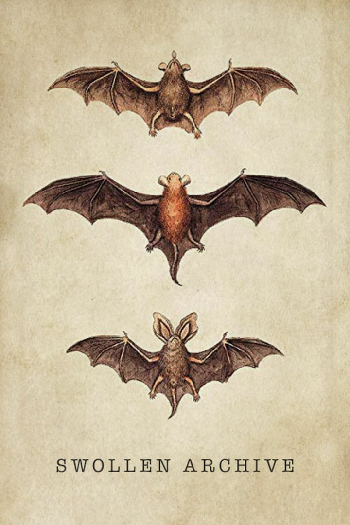 Swollen Archive i gruppen Alla filmer / Animation hos Mohamad shop (567742)