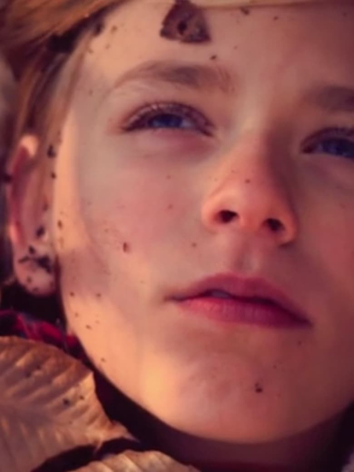 November in Vermont i gruppen Alla filmer / Drama hos Mohamad shop (568297)