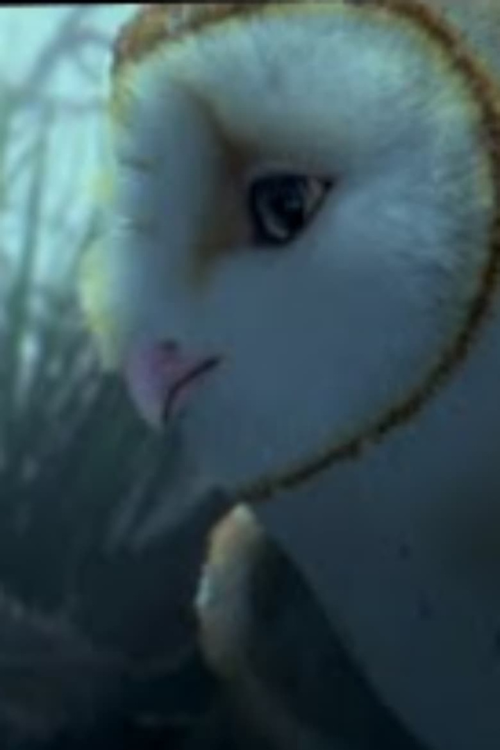 True Guardians of the Earth i gruppen Alla filmer hos Mohamad shop (568602)