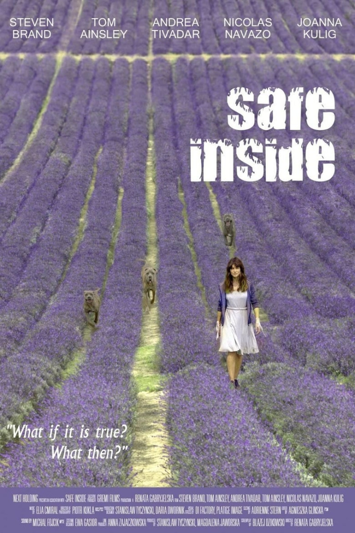 Safe Inside i gruppen Alla filmer / Thriller hos Mohamad shop (568964)