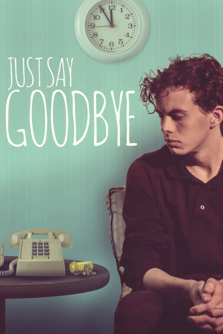 Just Say Goodbye i gruppen Alla filmer hos Mohamad shop (569064)