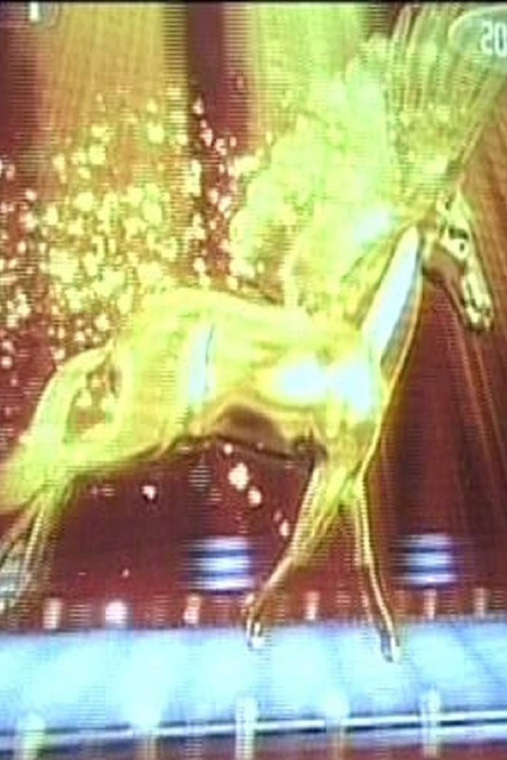 New Year i gruppen Alla filmer / Drama hos Mohamad shop (569173)