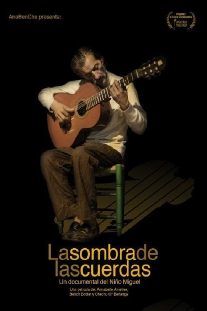 The shadow of the Strings i gruppen Alla filmer / Documentary hos Mohamad shop (569222)