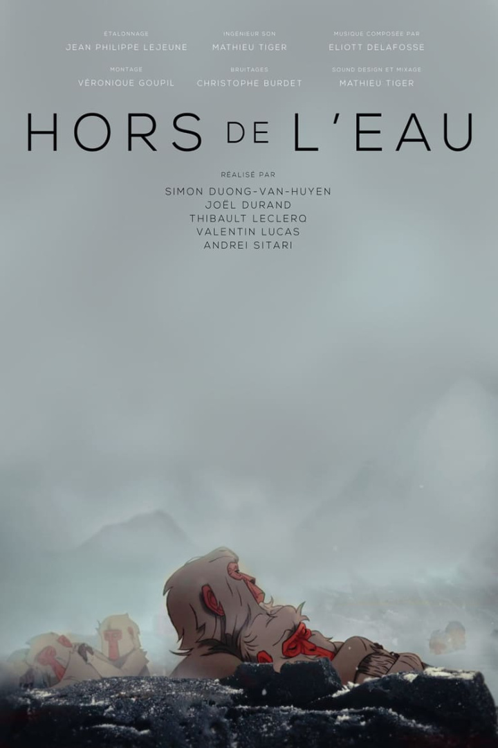 Hors de l\'eau i gruppen Alla filmer hos Mohamad shop (569873)