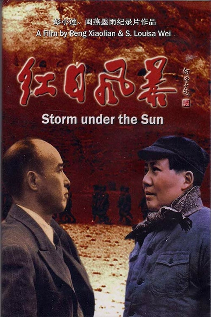 Storm Under the Sun i gruppen Alla filmer / Documentary hos Mohamad shop (569920)