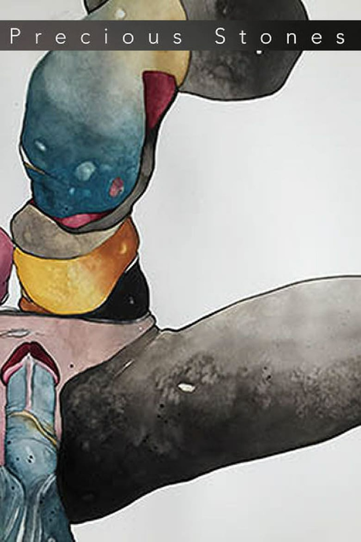 Precious Stones i gruppen Alla filmer hos Mohamad shop (570242)
