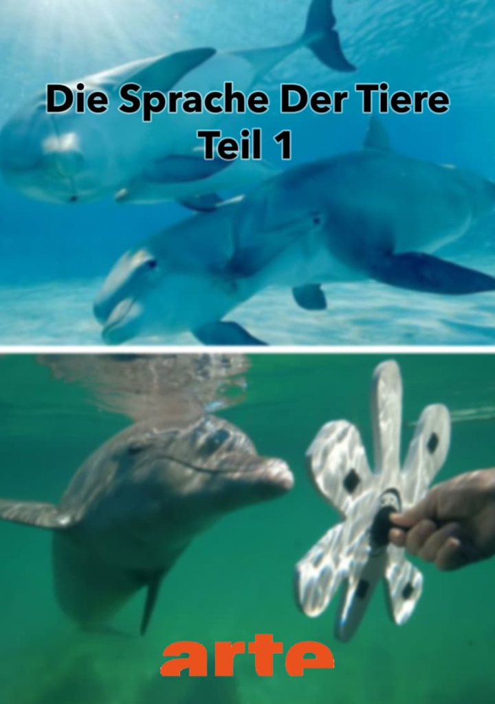 Die Eloquenz der Tiere (1/2) i gruppen Alla filmer / Documentary hos Mohamad shop (570299)