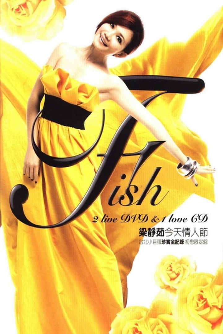 梁静茹 - 今天情人节演唱会 i gruppen Alla filmer / Music hos Mohamad shop (570490)