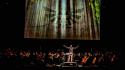 Legend of Zelda 30th Anniversary Concert