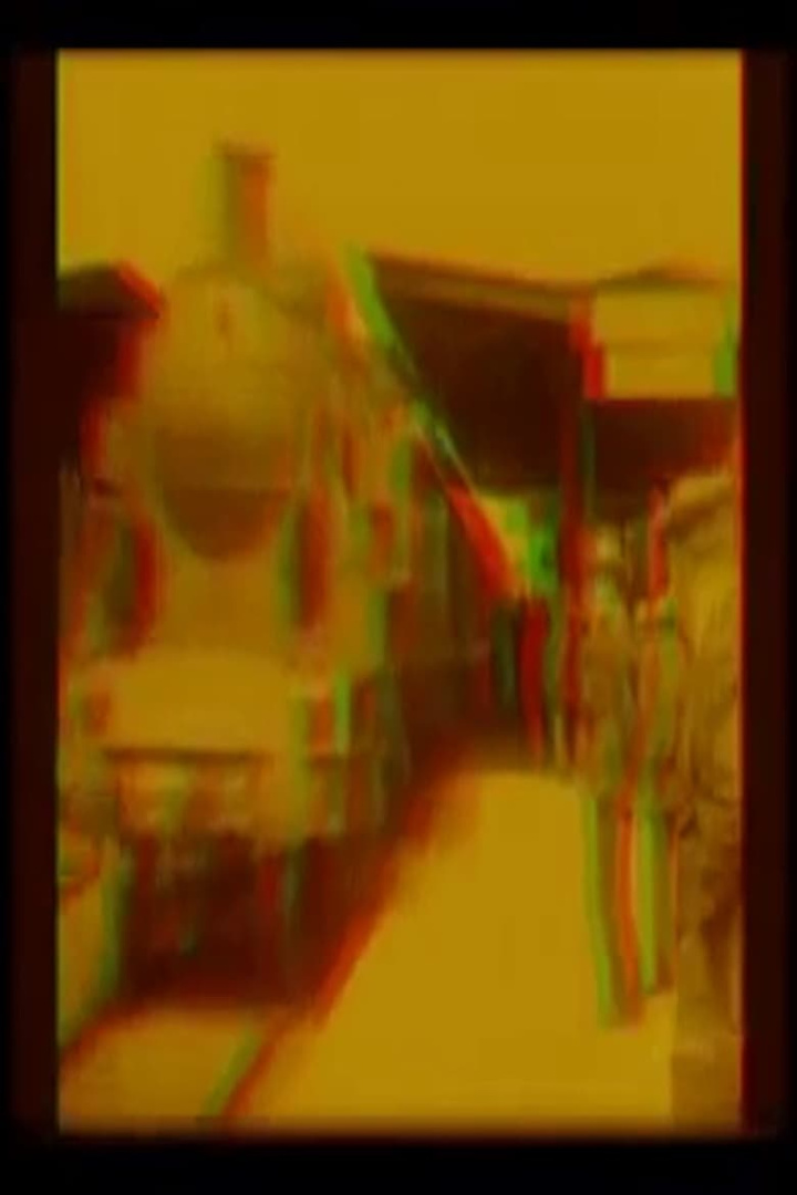 The Arrival of a Train at La Ciotat 3D i gruppen Alla filmer / Documentary hos Mohamad shop (570761)