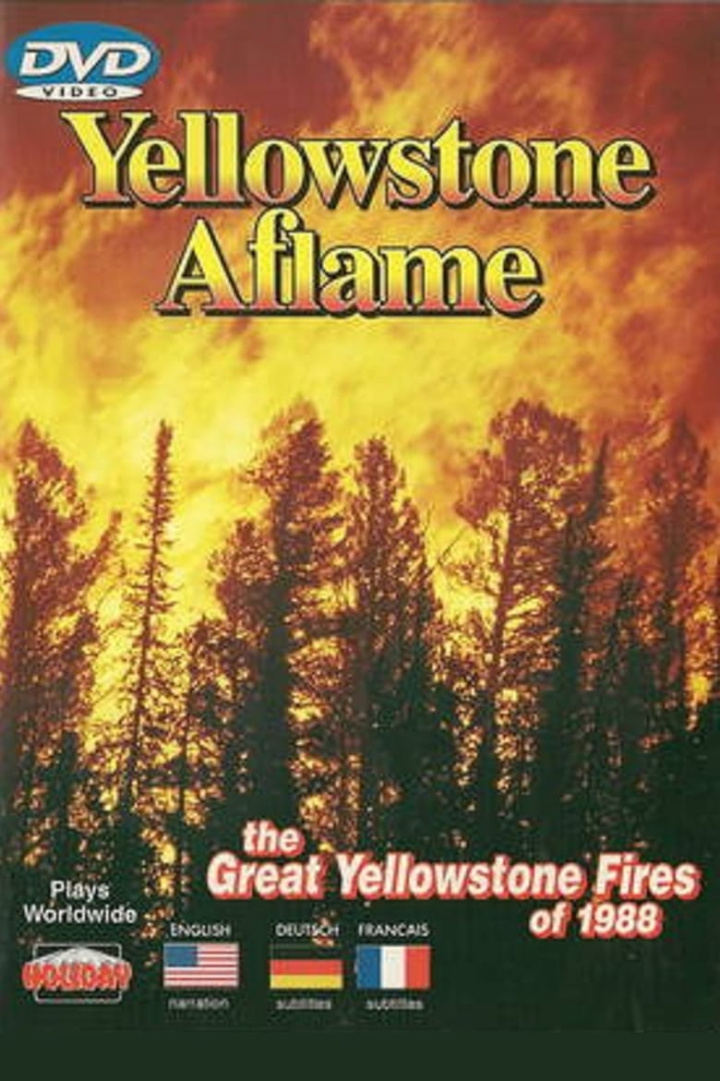 Yellowstone Aflame i gruppen Alla filmer hos Mohamad shop (571080)