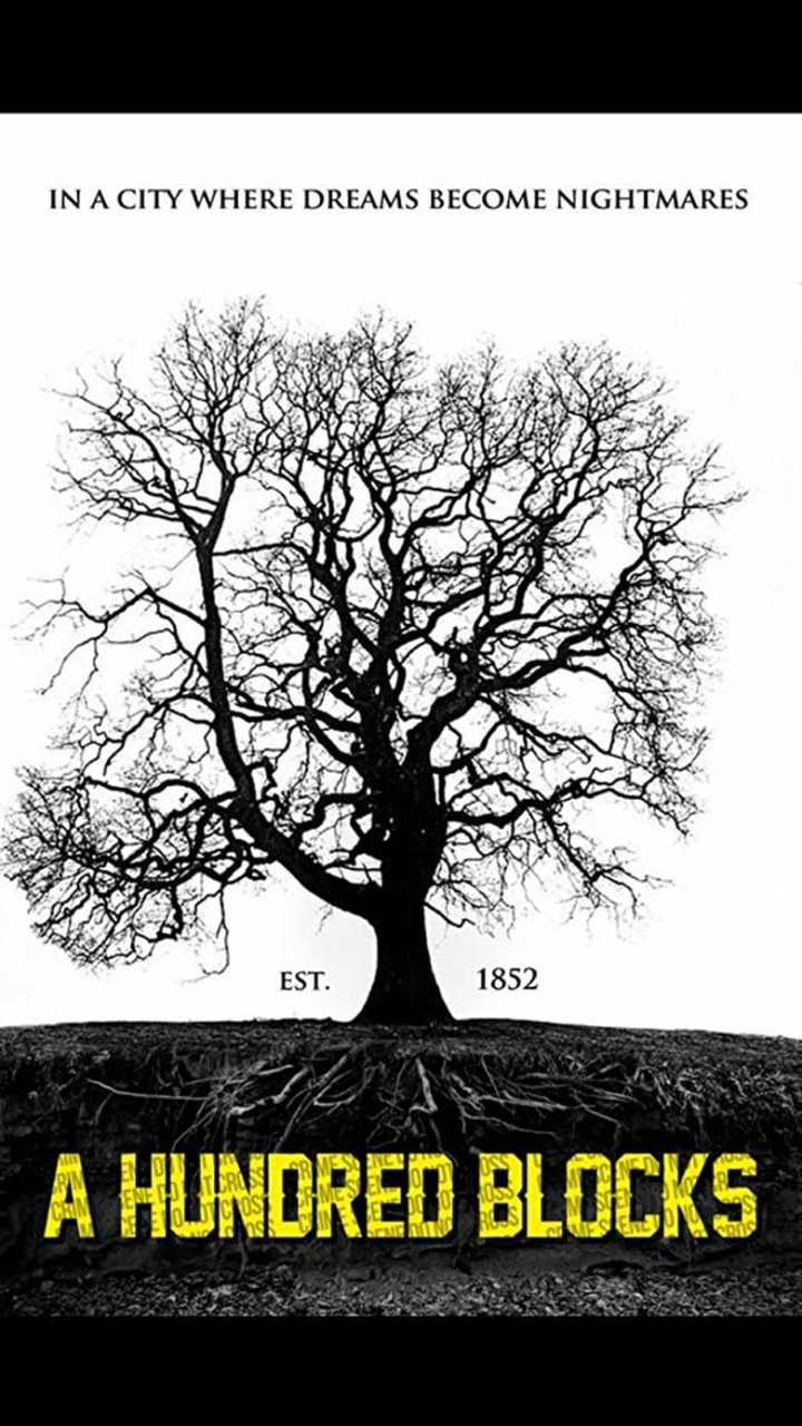 100 Blocks i gruppen Alla filmer hos Mohamad shop (571652)