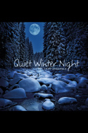 Hoff Ensemble - Quiet Winter Night