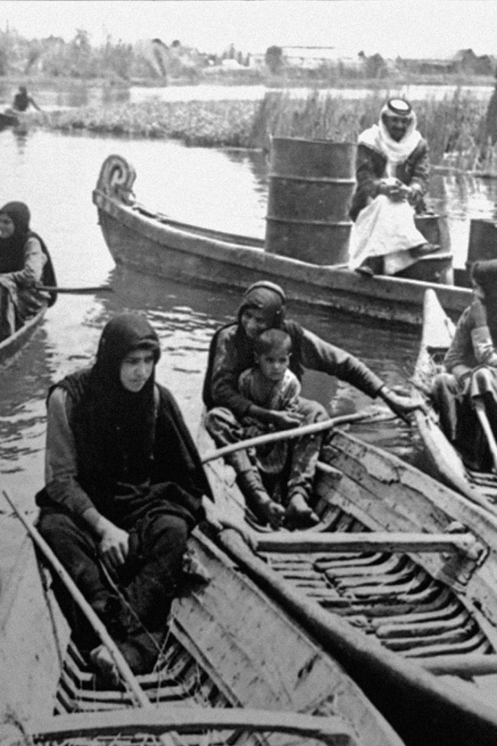 The Marshes i gruppen Alla filmer / Documentary hos Mohamad shop (571829)