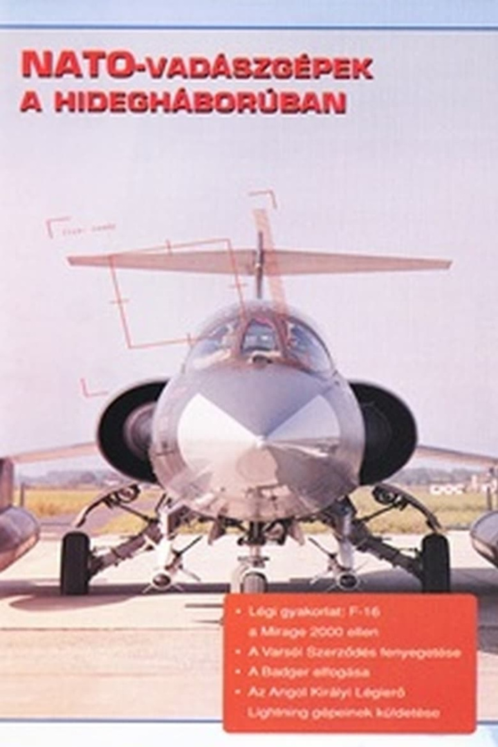 Combat in the Air - NATO Cold War Interceptors i gruppen Alla filmer / Documentary hos Mohamad shop (573213)