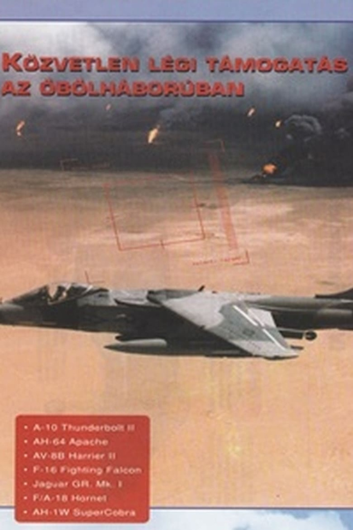 Combat in the Air - Close Air Support in the Gulf i gruppen Alla filmer / Documentary hos Mohamad shop (573294)
