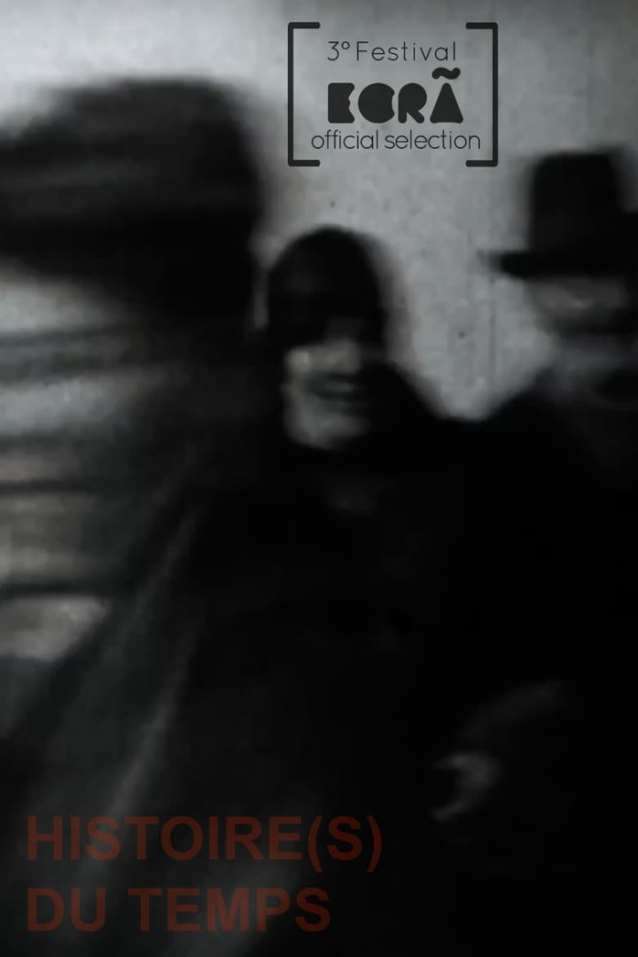 Histoire(s) du Temps i gruppen Alla filmer hos Mohamad shop (574140)