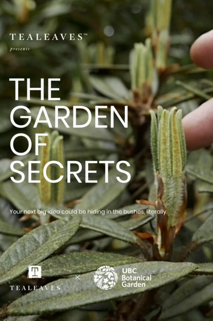 The Garden of Secrets i gruppen Alla filmer / Documentary hos Mohamad shop (574150)