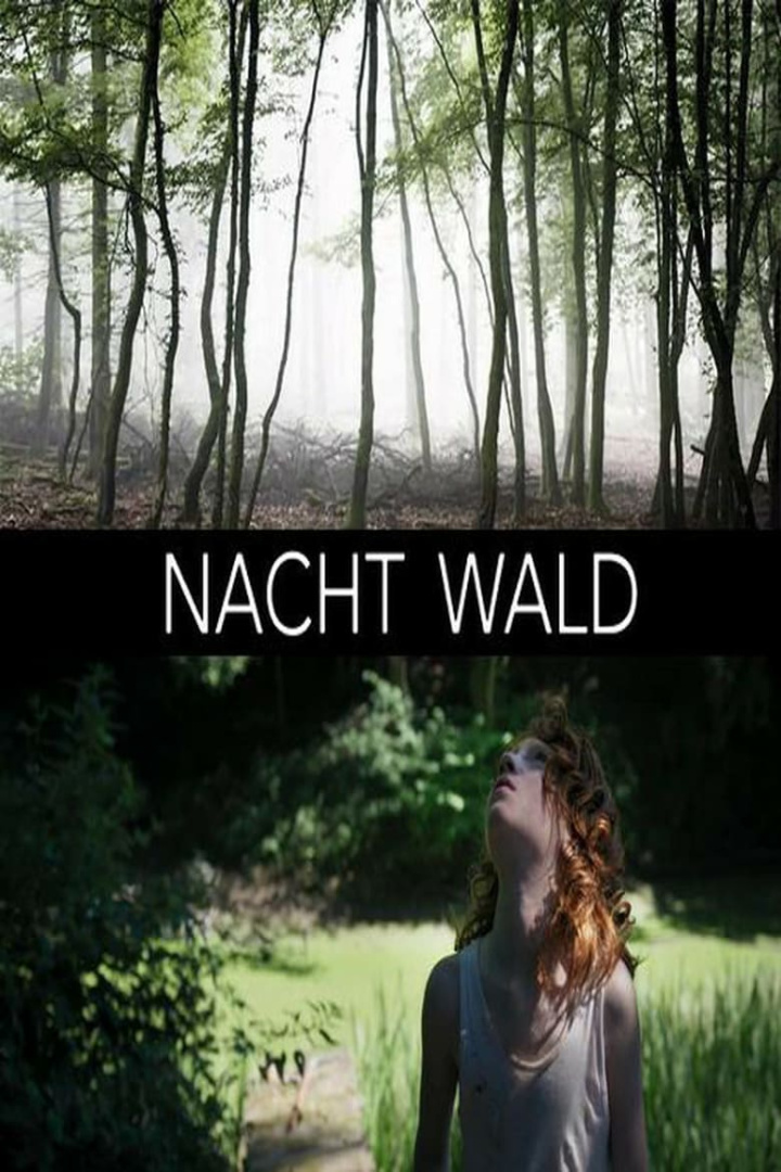 Nacht Wald i gruppen Alla filmer hos Mohamad shop (574951)
