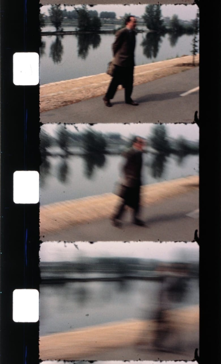 Effeuiller l\'acanthe i gruppen Alla filmer / Documentary hos Mohamad shop (575205)